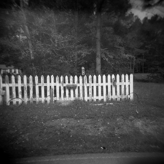 Fence With Birdhouse